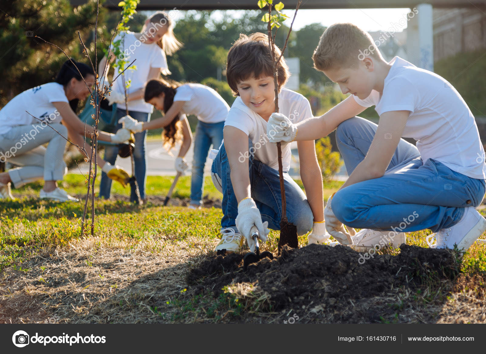 Niño sembrando un árbol